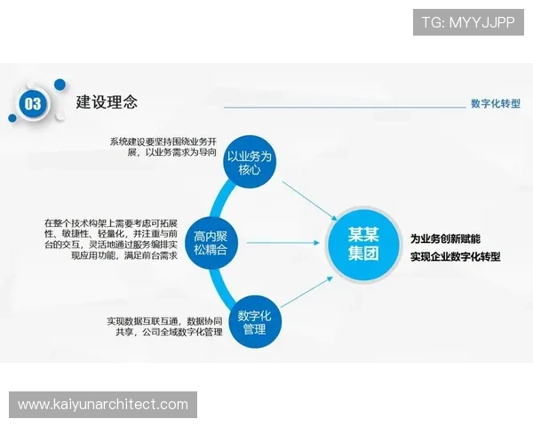 探索开云入口在数字化转型中的重要作用